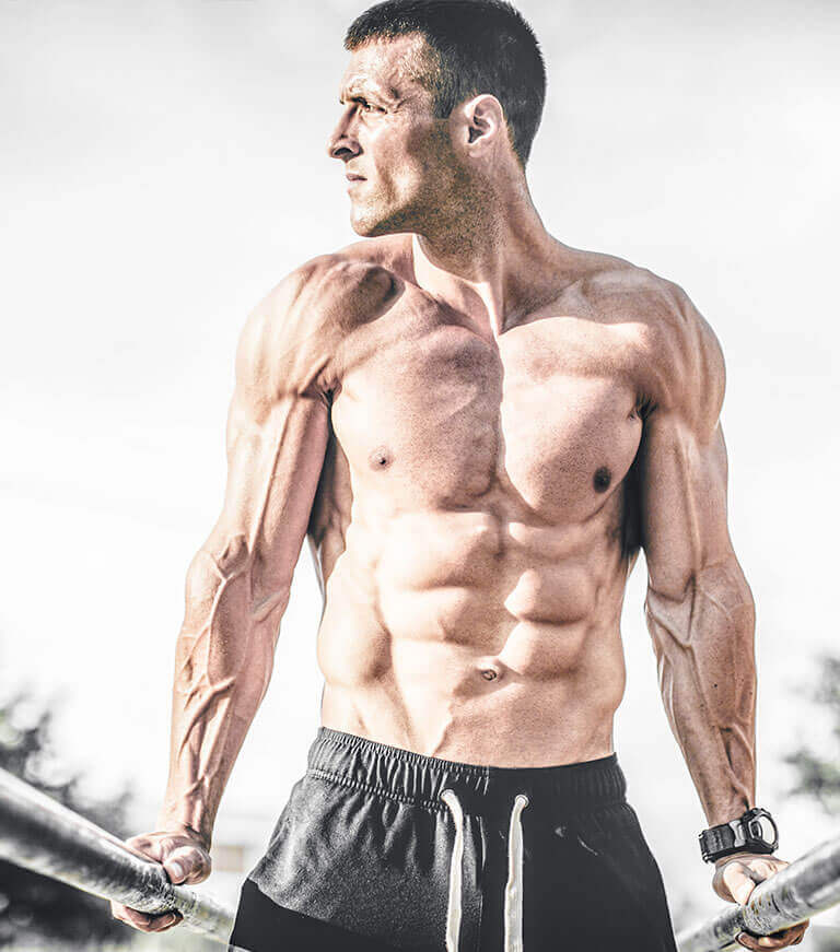 Muscletech elite parallel bars