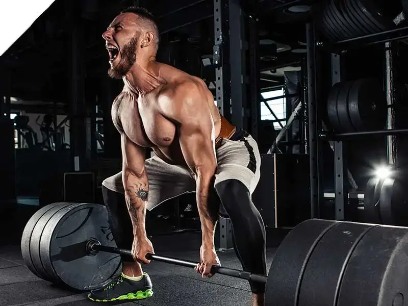 Muscletech masstech extreme 2000 why