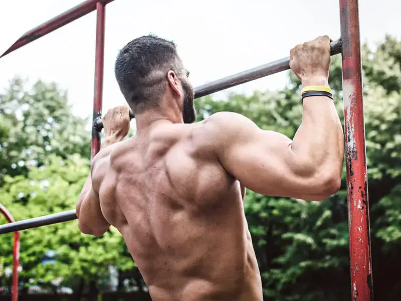 Muscletech masstech extreme 2000 why
