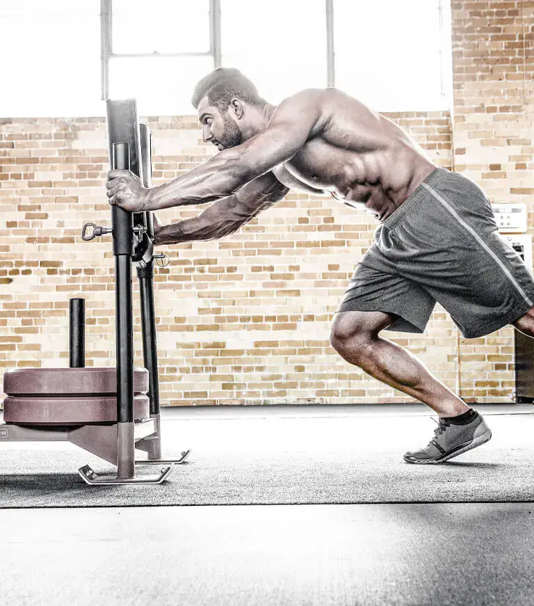 Muscletech elite jase stevens sled push