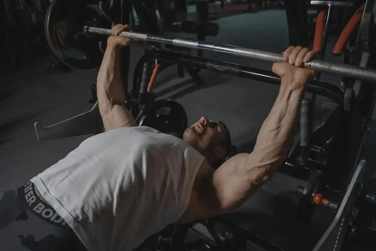 Nitro-Tech Ripped: How Protein + Fat Burners Work Together